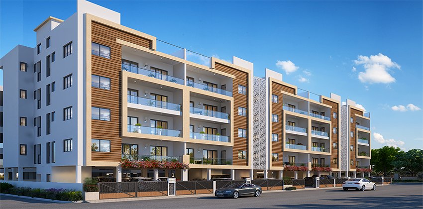 Central Park Flower Valley Clover Floors project image